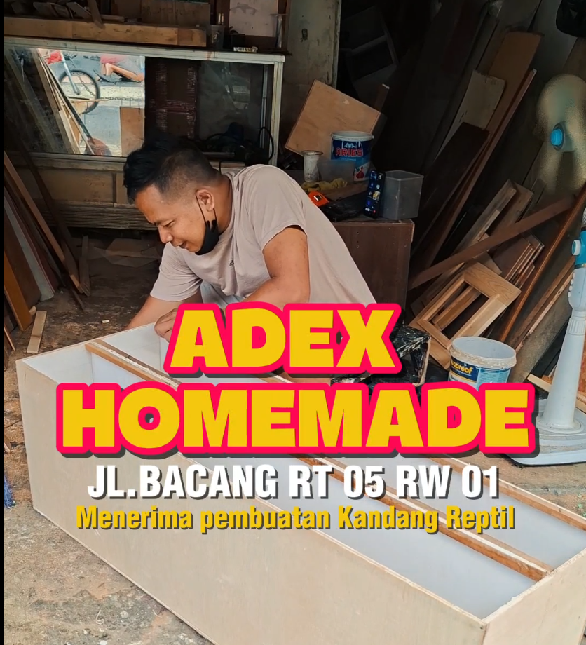 Kenal ADEX Homemade? UMKM Kandang Reptil Custom yang Tumbuh dari Gang Kecil Jakarta